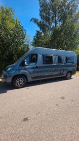 Carado Cv 600 pro - Angebote