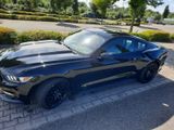 Ford Mustang 2.3 EcoBoost auto - - Ford in Norderstedt