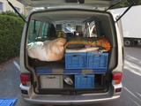 Volkswagen T4 Multivan 124Tkm Bj.2003, TÜV neu, Top Zust.,  - Volkswagen T4 Multivan: Van