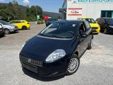 Fiat Grande Punto 1.4 8V Dynamic - Fiat Grande Punto Benziner Gebrauchtwagen