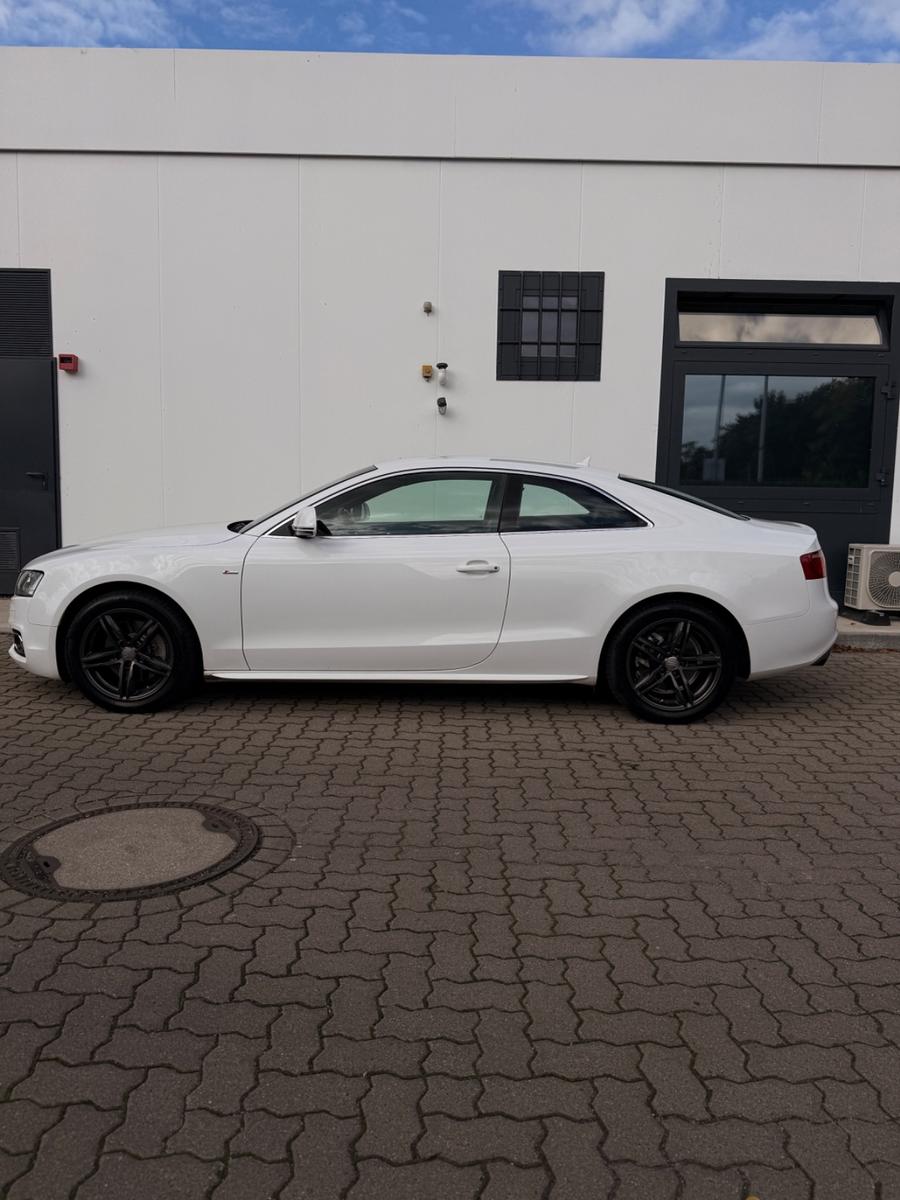 Audi A5 Coupe 2.0 TFSI SHZ Bi-Color Leder Motor Neu