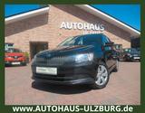 Skoda Fabia Combi Active/Klima/SR+WR/AHK/PDC/nur 53tkm - Skoda Fabia mit Anhängerkupplung Combi