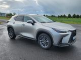 Lexus NX 450h 450h+ E-FOUR Business Line Business Line - Lexus NX 450h Gebrauchtwagen