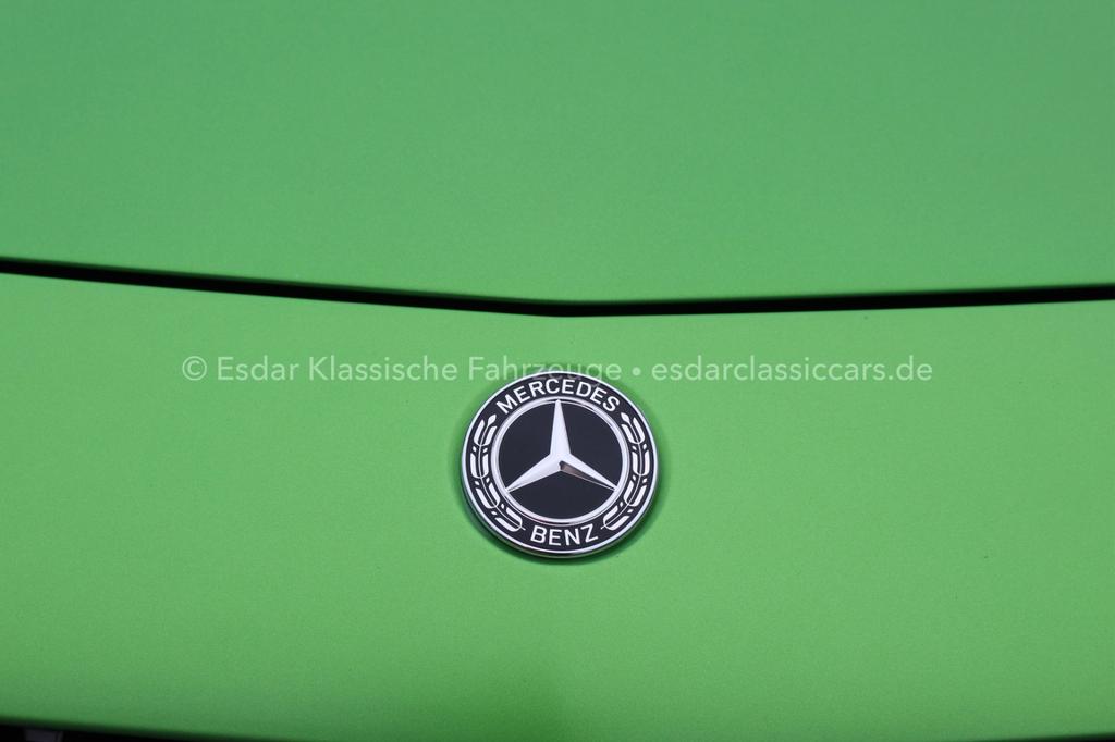 Mercedes-Benz AMG GT R