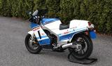 Suzuki RG 500 - Angebote