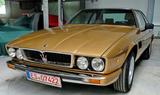 Maserati Kyalami - Oro Longchamps - Handschalter - Maserati Oldtimer