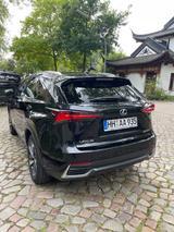 Lexus NX 300 300h Executive Line Executive Line - Lexus in Hamburg: Nx