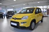 Fiat Pandina - Fiat Panda Gebrauchtwagen in Dortmund