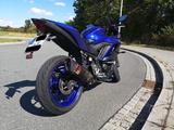 Yamaha YZF R3 - Akrapovič + Quickshifter - YAMAHA YZF R3