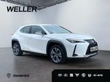 Lexus UX 300e *Luxury*Komfort-Plus*Executive Paket* - Lexus Gebrauchtwagen in Osnabrück