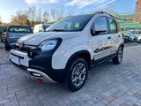 Fiat Panda Cross 4x4 Benzina/GPL - silberne Fiat Panda