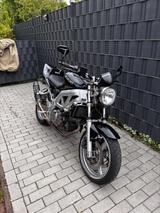 Suzuki SV 650 48ps - Offers