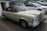 Mercedes-Benz 250 SE W111 Werkscabrio Leder neues Verdeck  ori - Mercedes-Benz: Cabrio, W111
