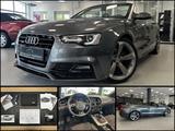 Audi A5 Cabriolet 2.0 TDI S-line|Quattro|1HD|45.937km - Audi: 0 A Km