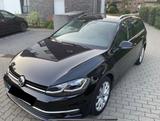 Volkswagen Golf 2.0 TDI DSG Pano Highline 8 Fach bereift 