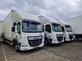 DAF LF 230 LBW Koffer - Offers