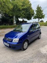 Fiat Panda 1.2 8V Dynamic /Bj.2007 / Top Gepflegt 