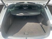 Cupra Leon - Vorschau Bild 15