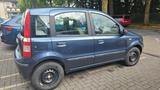 Fiat Panda 1.1 8V Active el.Fensterheber Allwetter - Fiat Panda Gebrauchtwagen in Düsseldorf