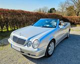 Mercedes-Benz CLK 200K AVANTGARDE Evo Cabrio 93tkm PDC TÜV NEU - gebrauchte Mercedes-Benz CLK 200 aus dem Jahr 2001