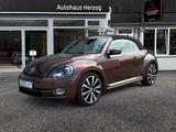 Volkswagen BEETLE CABRIO 2.0 TDI Allstar Plus Automatik - Volkswagen Beetle: Auto
