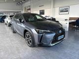 Lexus LEXUS UX Full Electric UX Hybrid 2WD Luxury - graue Lexus UX
