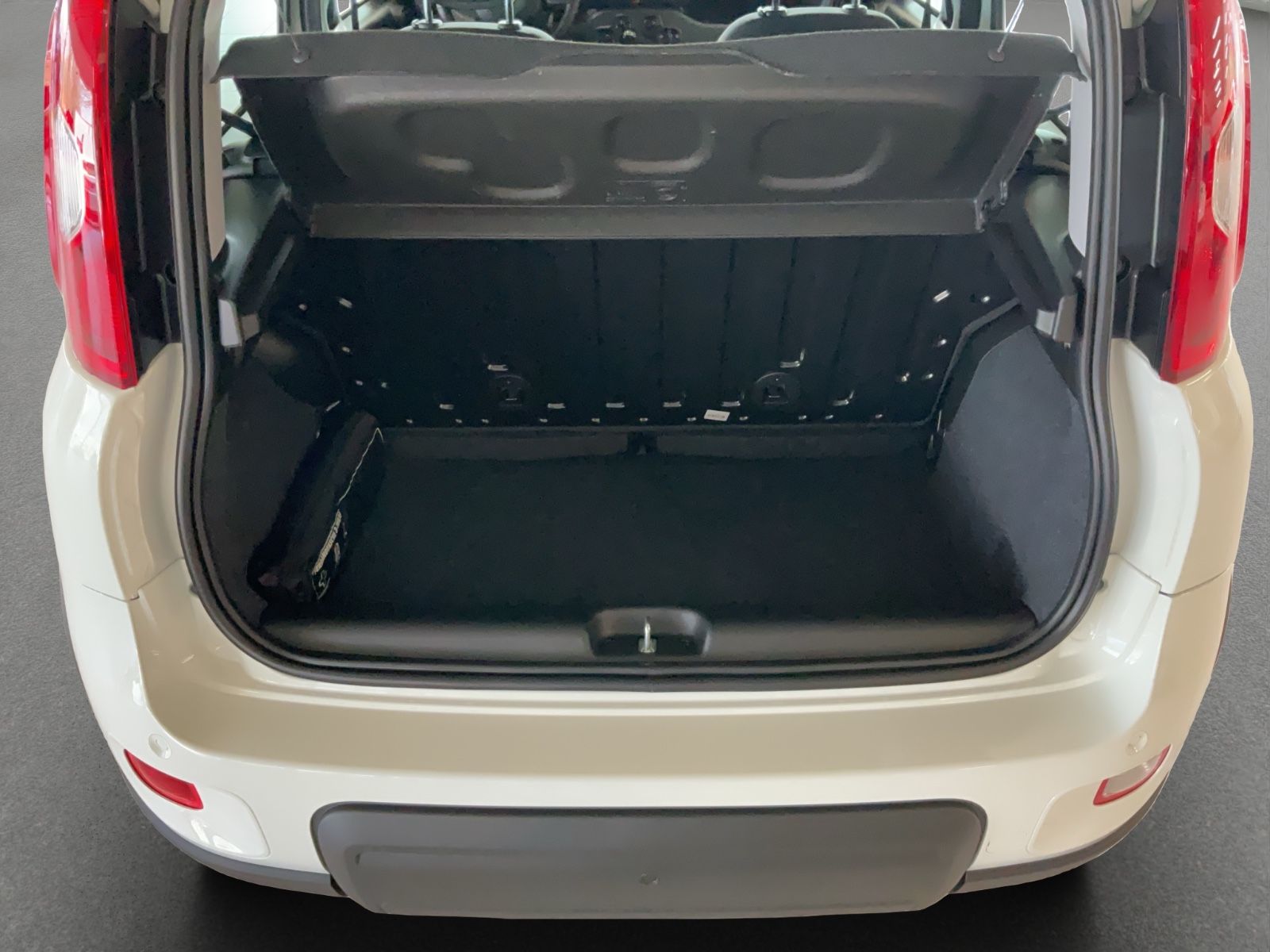 Fahrzeugabbildung Fiat Panda 1.0 GSE Hybrid + Komfortpaket