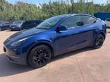 Tesla Model Y Model Y Long Range AWD - blaue Tesla Model Y