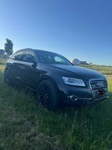 Audi SQ5 super Zustand - Audi SQ5 Gebrauchtwagen in Stuttgart