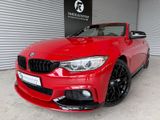 BMW 435i Cabrio M-PERFORMANCE/HUD/H&K/360°KAMERA - BMW: Cabrio, 36