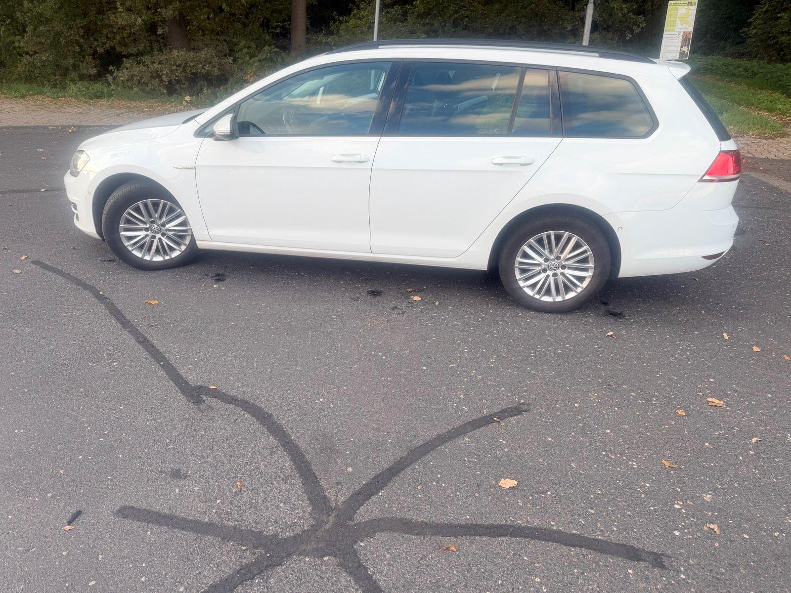 Volkswagen Golf 2015 — photo 11