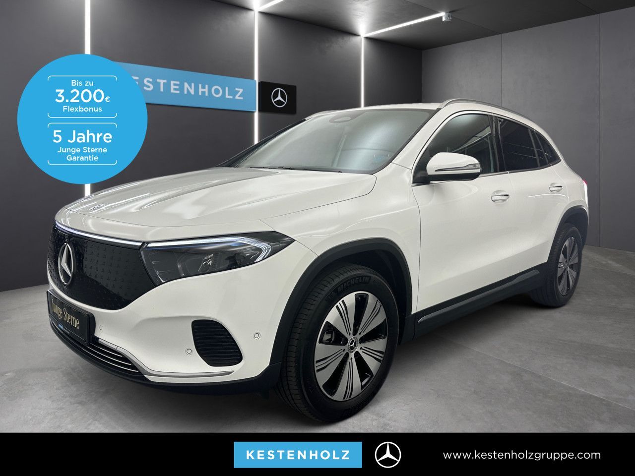 MERCEDES-BENZ EQA 250 LED Keyl-GO Kamera Laderaump Klimaautom