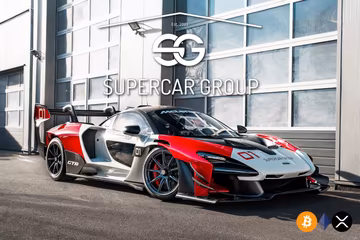 Mclaren Senna Gtr 2019