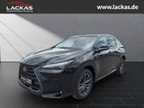 Lexus NX 350 h 243 PS Executive Inter ieur Paket + Tec - Lexus NX 350h Neuwagen