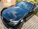 Mercedes-Benz C 200 Cabrio AMG Vollausstattung 4MATIC Allrad  - Mercedes-Benz C-Klasse: All