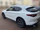 Alfa Romeo Stelvio 2.2 Diesel 16V 140kW Business AT8-Q4... - Alfa Romeo mit Diesel-Antrieb: Geländewagen