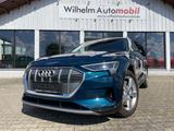 Audi e-tron 50 quattro Virtuelle Außenspiegel Matrix - Audi mit Elektro-Antrieb: Kombi