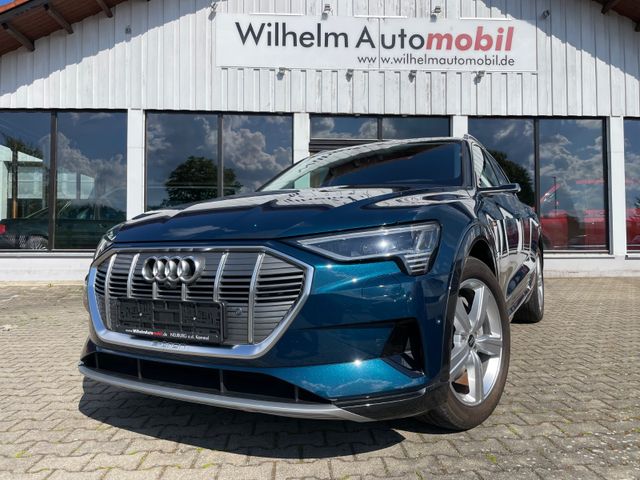 AUDI e-tron 50 quattro Virtuelle Außenspiegel Matrix