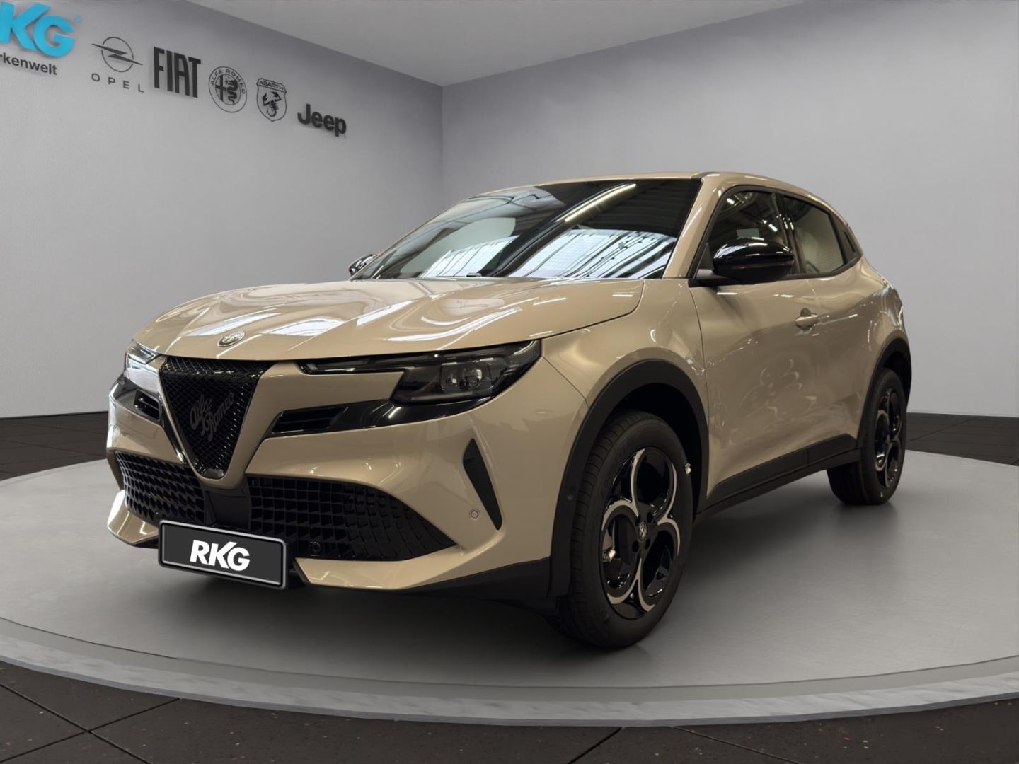 Alfa Romeo Junior Elettrica 115 kW Tech Paket Sitzheizung W