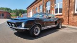 Ford Shelby GT 500 KR Convertible Tribute 3x Black H