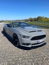 Ford Mustang 50 Year-Edition 5.0 V8 GT - Ford Mustang: Edition