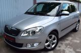 Skoda Fabia Greenline Klima,PDC Vorne Und Hinten - Skoda Fabia mit Diesel-Antrieb: Silber