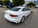 Jaguar XE P250 Aut. | 360° | CarPlay | 8-fach bereift - weiße Jaguar XE