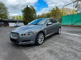 Jaguar XF 3.0 Diesel TÜV 08/26 Automatik f... - Jaguar XF in Bochum