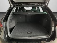 Skoda Octavia - Vorschau Bild 14