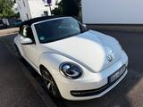 Volkswagen New Beetle 1,2 TSI mit neue TÜV - VW New Beetle von privat