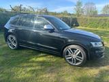 Audi SQ5 3.0 TDI competition tiptronic quattro - - Audi SQ5 Gebrauchtwagen in Berlin