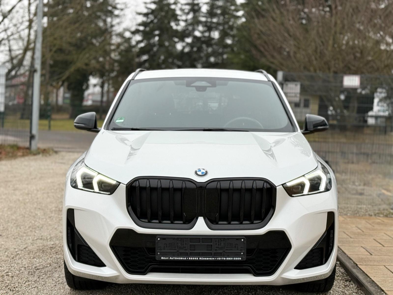 BMW X1 23d xDrive M Sport AHK h/k Memory 20 Zoll ACC