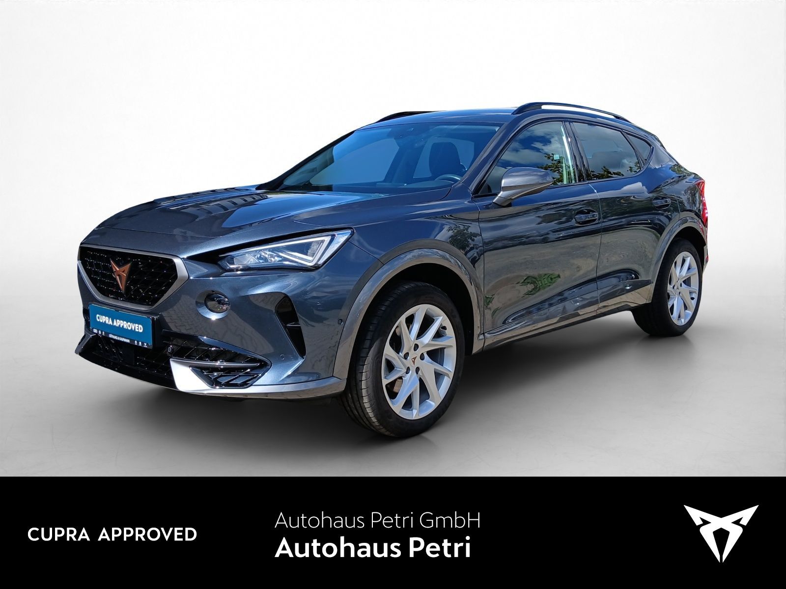 Cupra Formentor 2.0 TDI*NAVI*AHK*KAM*PDC*LED*SHZ