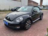 Volkswagen Beetle Cabriolet Design BMT+BI-XENON+SITZHEIZUNG - VW Beetle Gebrauchtwagen in Berlin